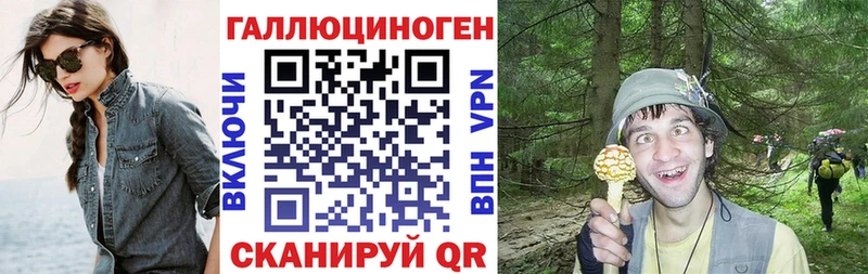 Псилоцибиновые грибы Psilocybe  продажа наркотиков  Советск 