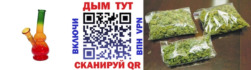 как найти наркотики  Советск  Бошки Шишки планчик 